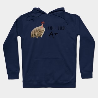 Tard-Grade: A+ Hoodie